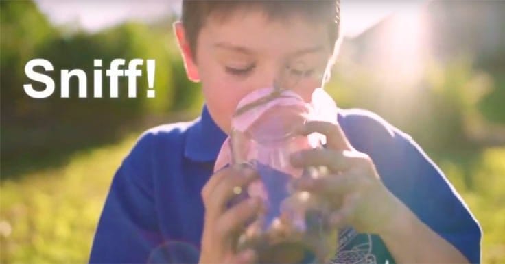 Kids playing with smelling jars as a sensory activity