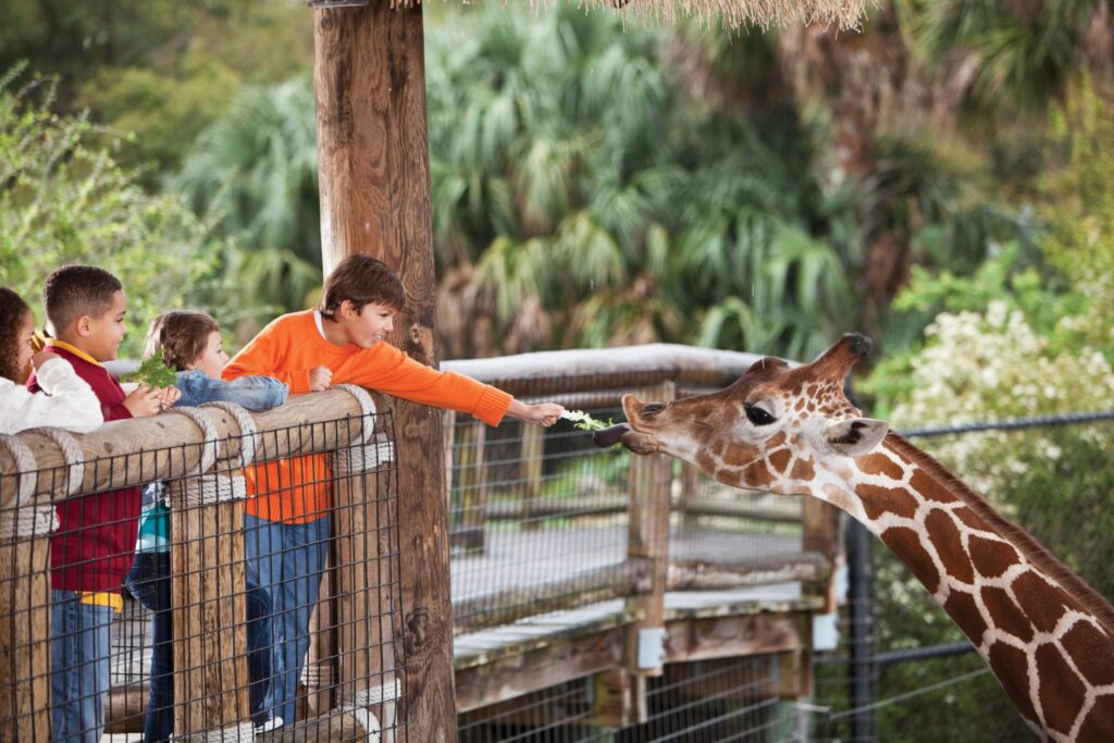 5 inclusive school holiday activities for kids