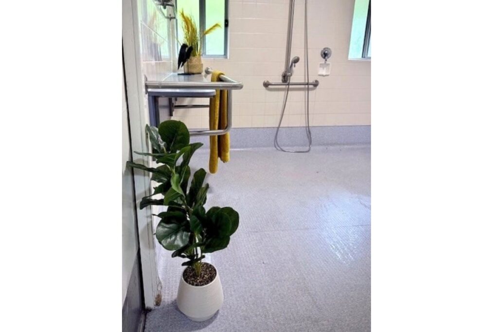 Accessible bathroom with an open shower, grab rail and handheld shower head