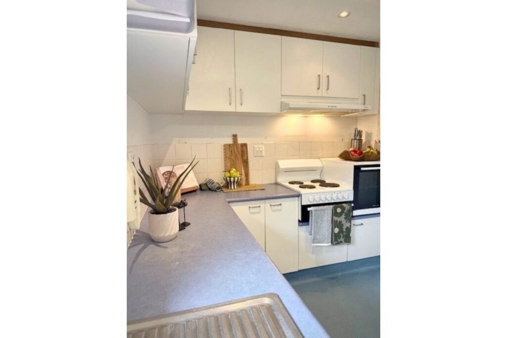 Kitchen with white cabinetry, a stovetop and benchtop with a pot plant