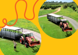 Media Release: Summerland Farm launches new inclusive farm tour