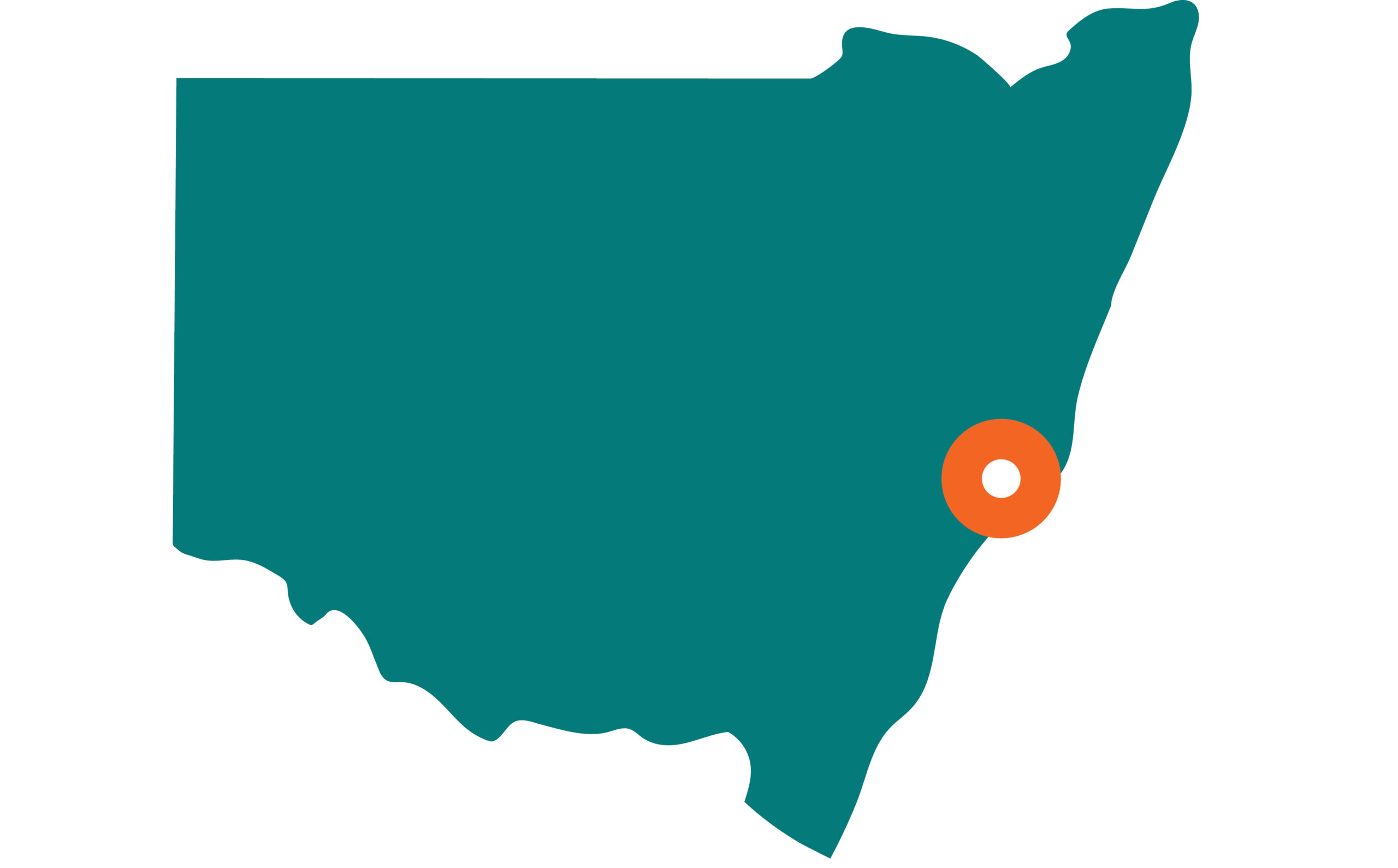 Graphical green map of NSW. there is an orange dot on Newcastle NSW showing that this is a location for this Aruma social enterprise business.