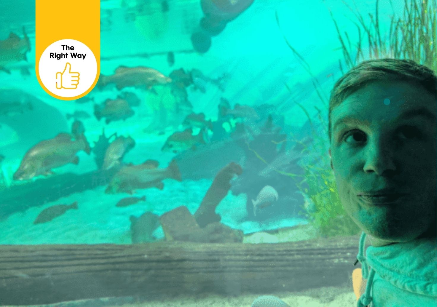 An image of a participant in front of a fish tank at the Sydney Zoo