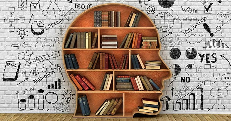 Bookshelf in the shape of a human head