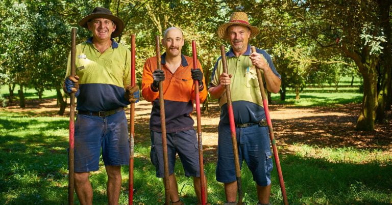 Three men in high-vis holding tools in front of green trees.