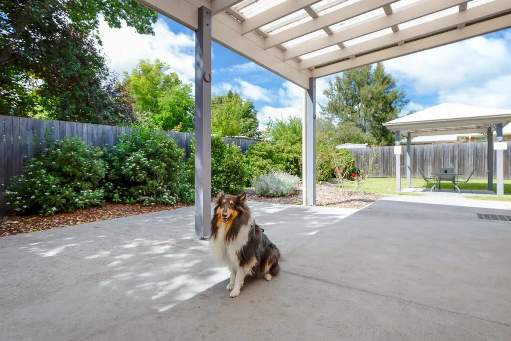 Armidale Supported Independent Living (SIL) (image 9)