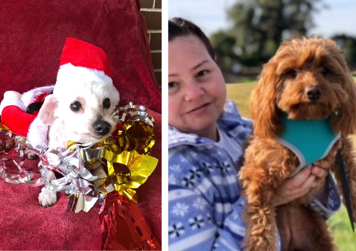 The pets from Minto Sammy and Evvie