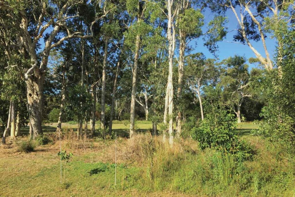 Peregian Springs Supported Independent Living (SIL) (image 6)