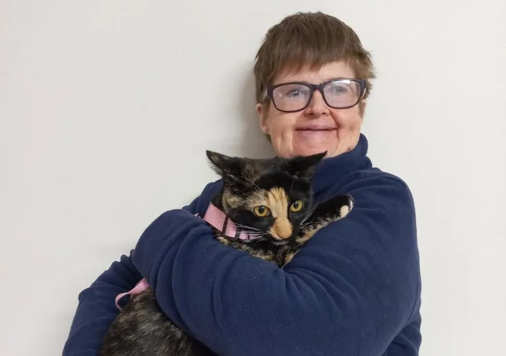 kate pet website