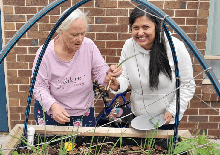 harmony week image